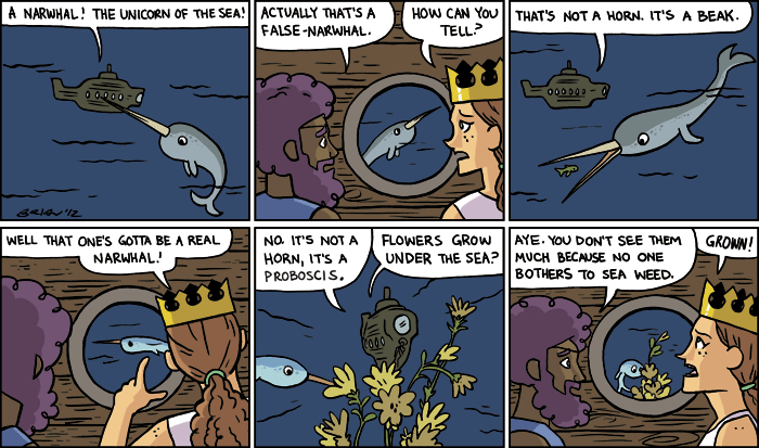 Epic Sail â€“ part 36